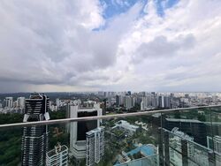 The Ritz-Carlton  (D9), Condominium #393263141
